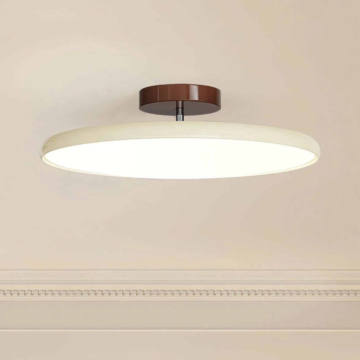 Modern Adjustable LED Ceiling Light