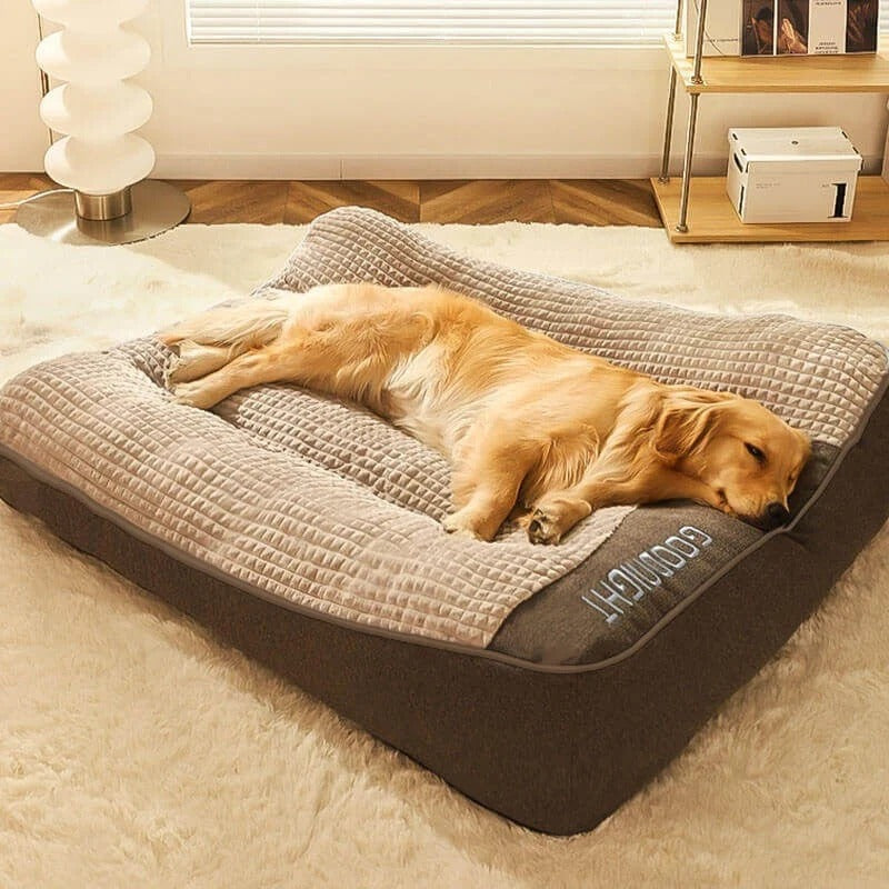 Orthopedic-Style Bolster Dog Bed