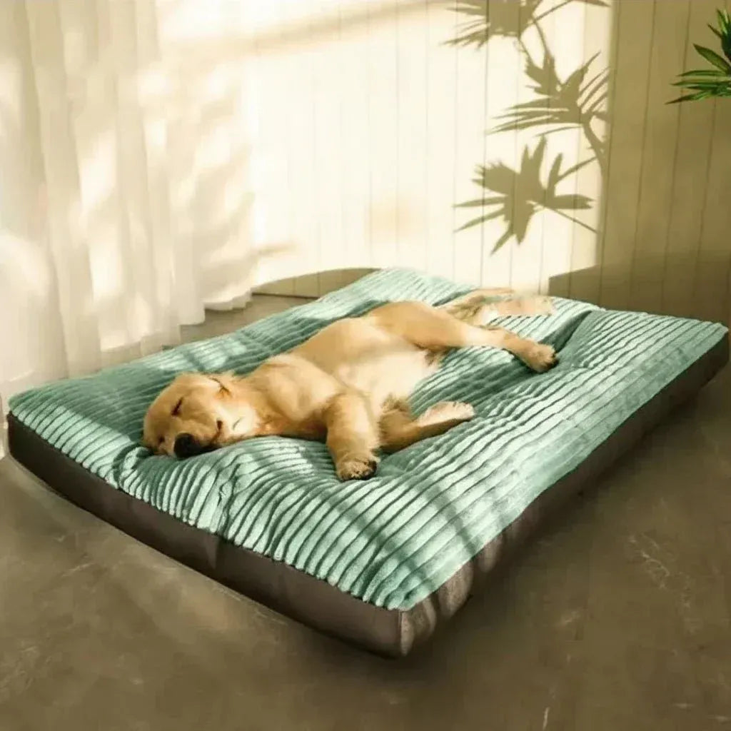 Memory Foam Pet Cushion