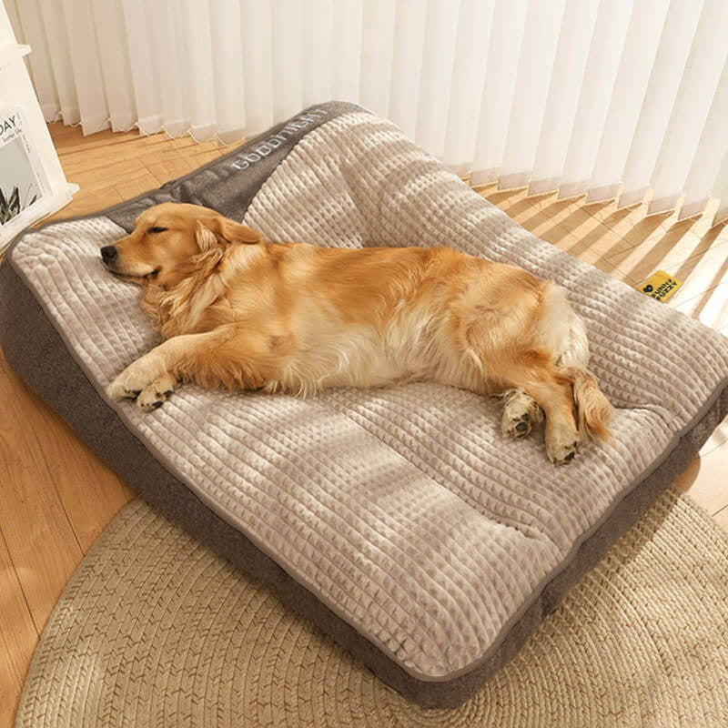 Orthopedic-Style Bolster Dog Bed