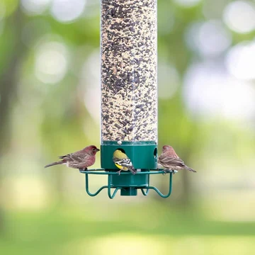 Anti-Squirrel Spinning Bird Feeder