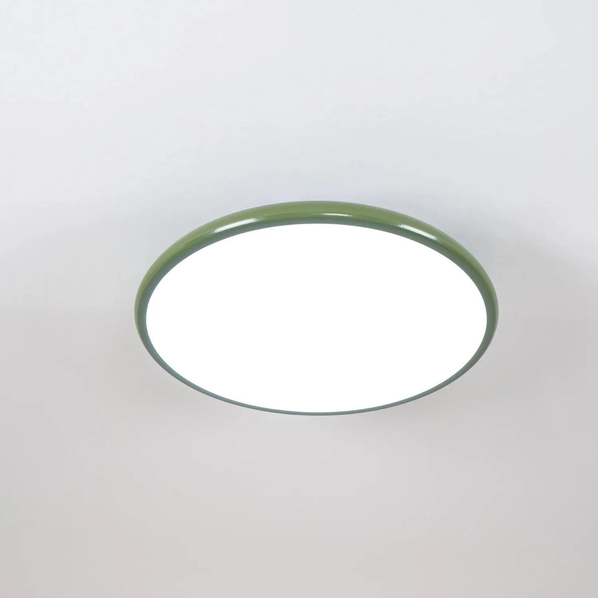 Modern Adjustable LED Ceiling Light