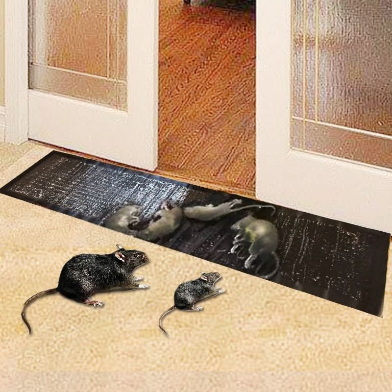 Glue Traps for Mice & Rats (10-Pack)