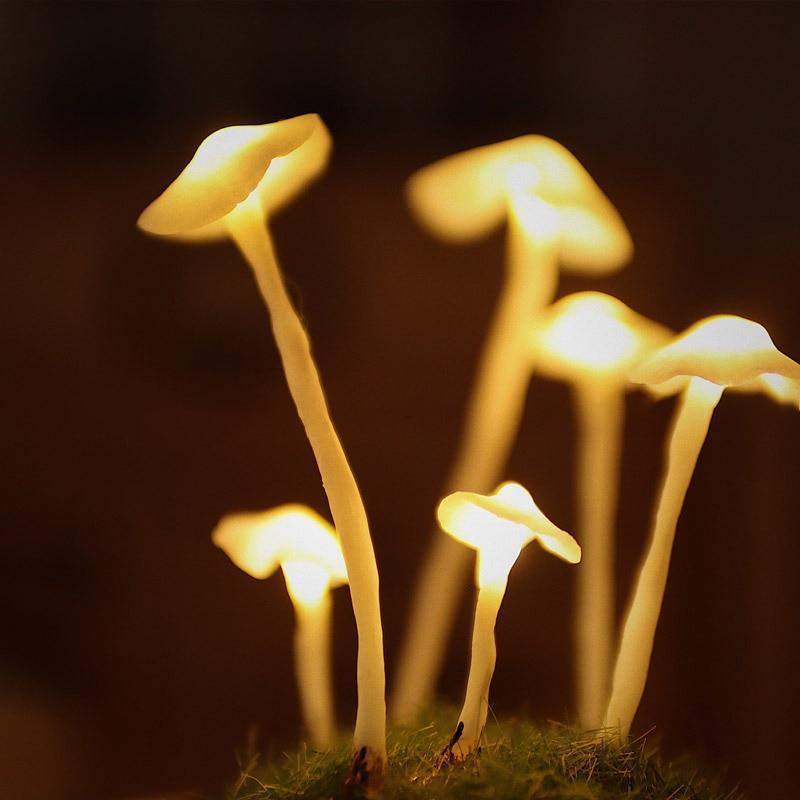 DIY‑Paddenstoellamp met Warm Licht en Creatief Ontwerp