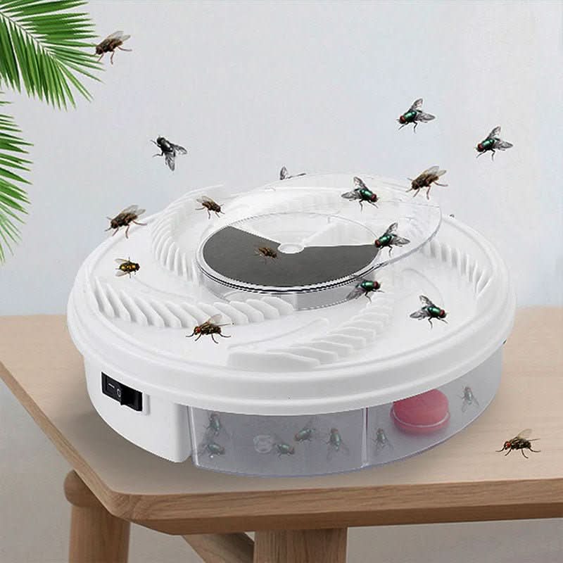 ECO CATCHER – Quiet, Environmentally Friendly Fly Catcher for Kitchen, Living Room & Garden
