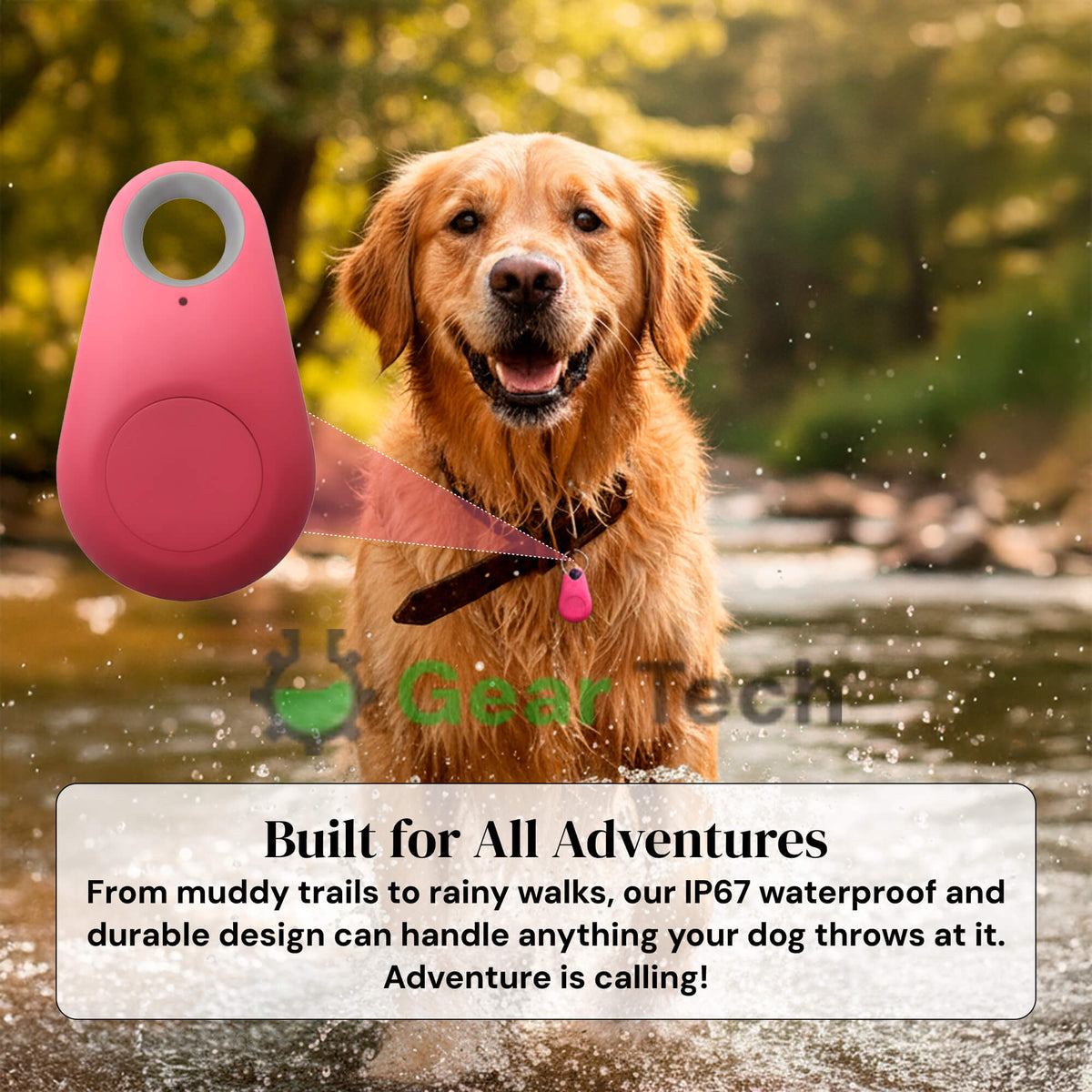 Reliable Dog GPS Tracker No Monthly Fees, Real‑Time Location Updates