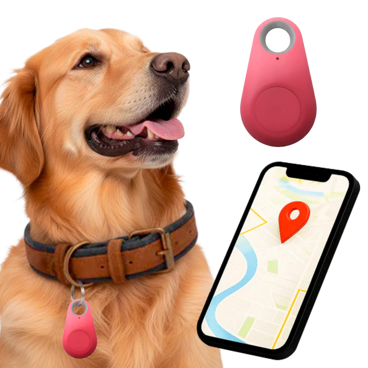 Reliable Dog GPS Tracker No Monthly Fees, Real‑Time Location Updates