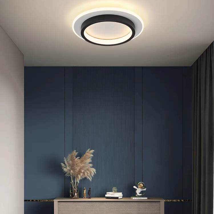 Plafondlamp met vlakke ronde diffuser ontwerp