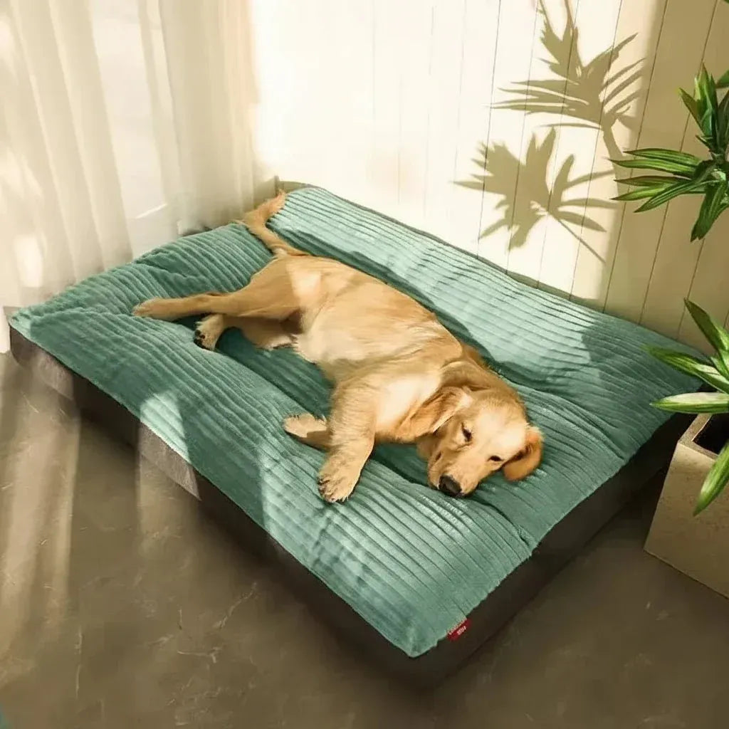 Memory Foam Pet Cushion