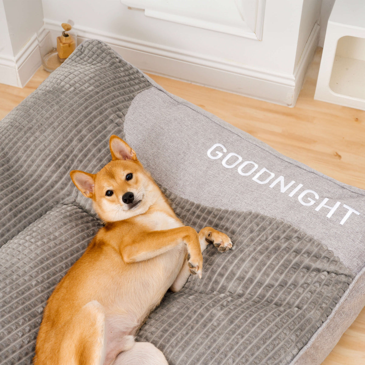 Orthopedic-Style Bolster Dog Bed