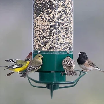 Anti-Squirrel Spinning Bird Feeder