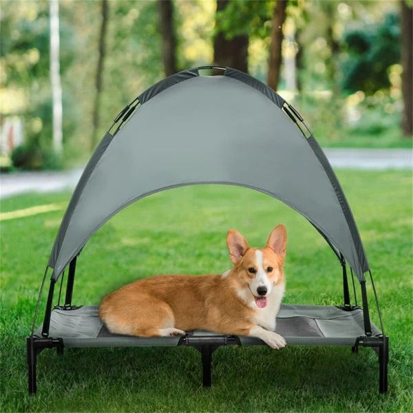 Elevated Dog Bed with UV Canopy