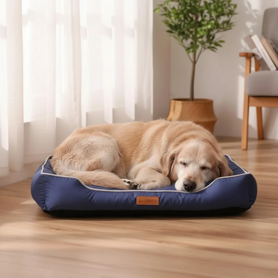 Foam Dog Bed with Washable Cover