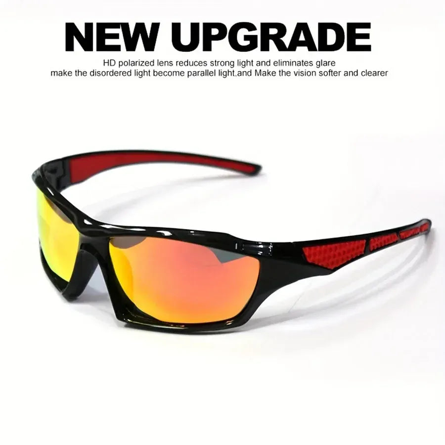 Polarized Round-Frame Sunglasses