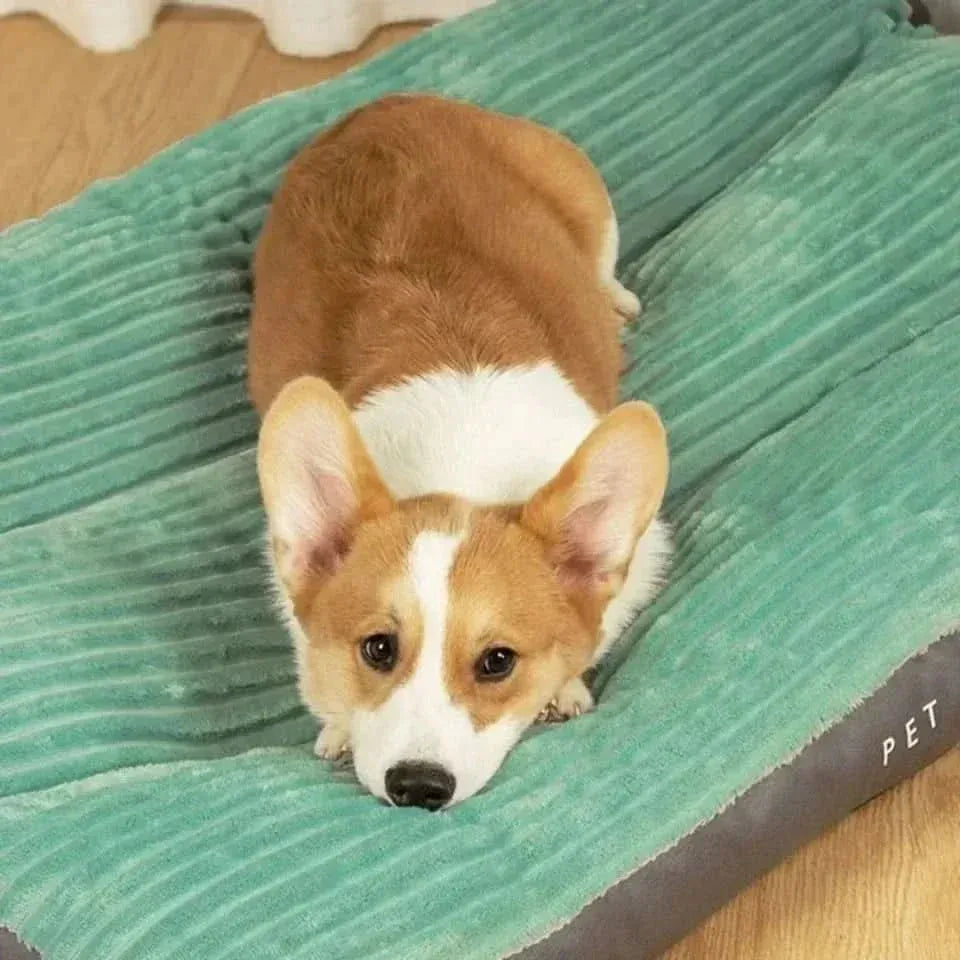 Memory Foam Pet Cushion