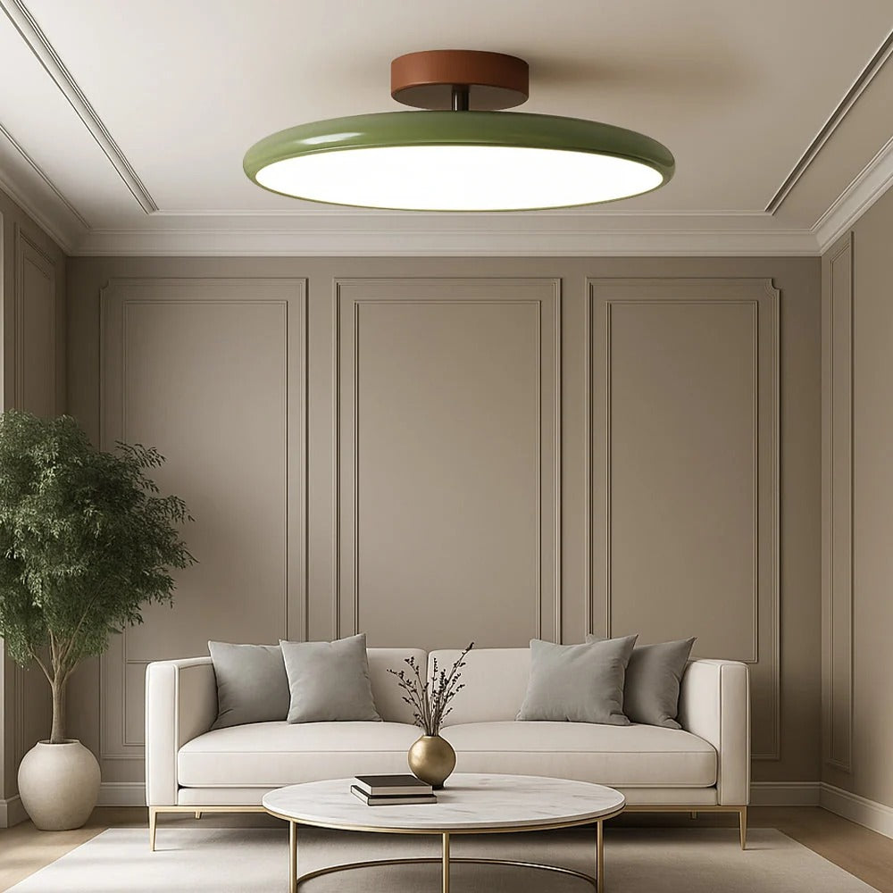 Modern Adjustable LED Ceiling Light