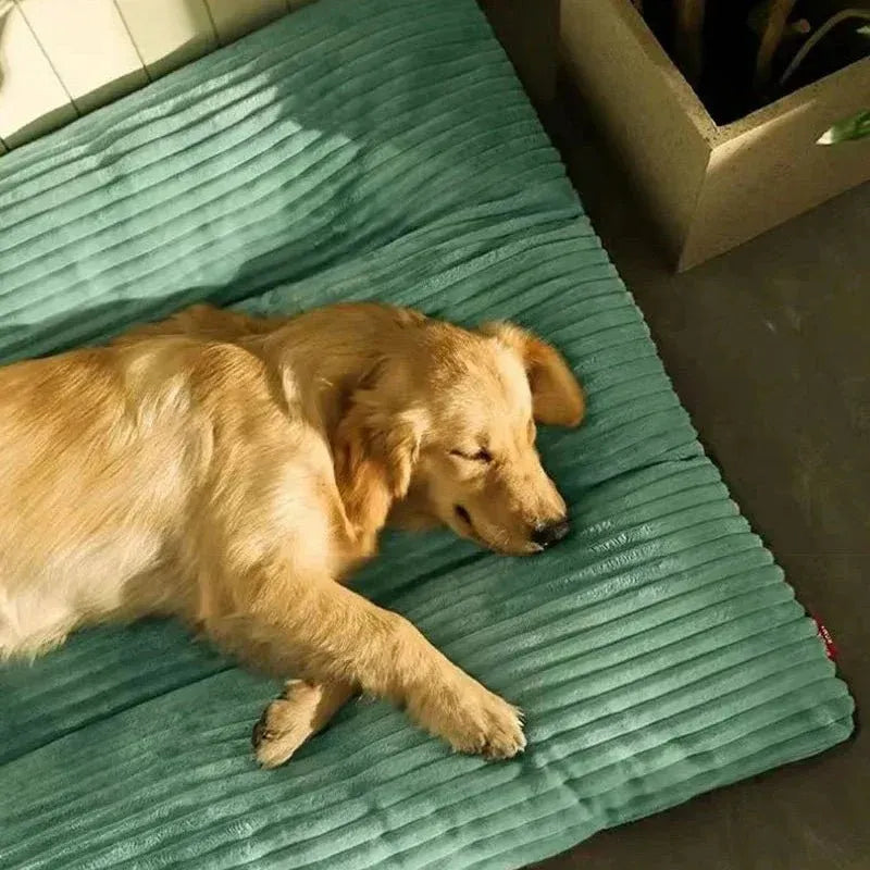 Memory Foam Pet Cushion
