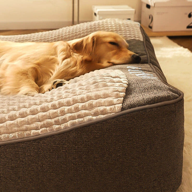 Orthopedic-Style Bolster Dog Bed